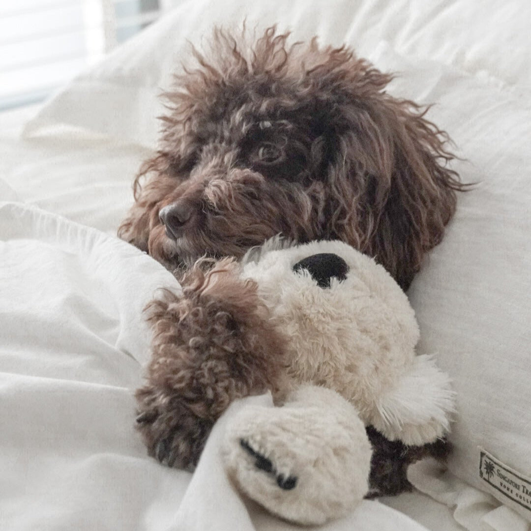 Fur Elise Koko Plush Toy - Maxi