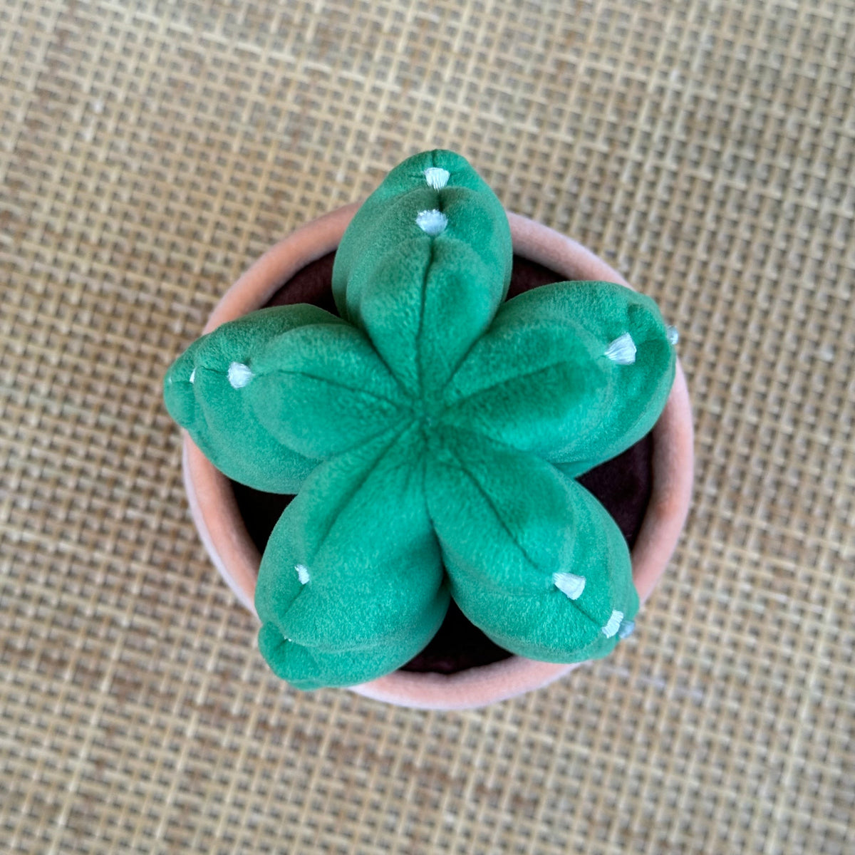 Cuddly Cactus Plushie