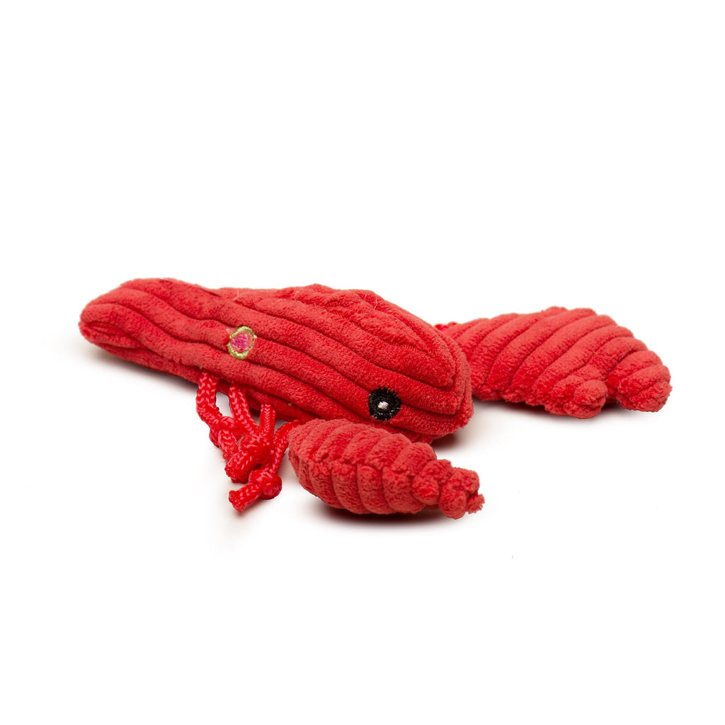 Raw Bar Wee Huggles® Plush Dog Toys, 3 pack