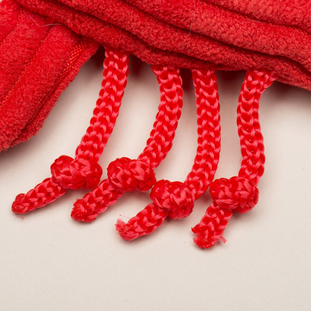 Raw Bar Wee Huggles® Plush Dog Toys, 3 pack