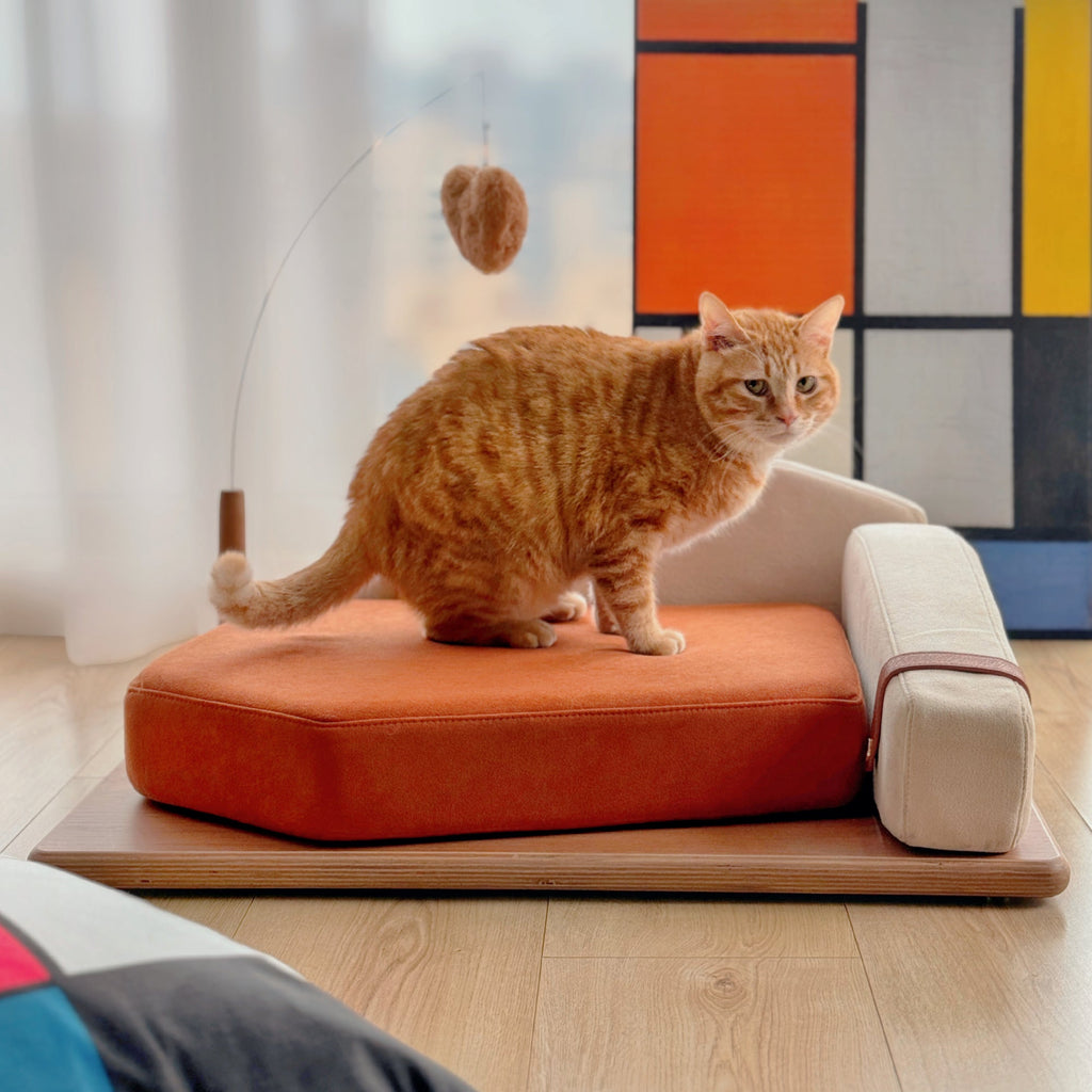 Wooden Pet Bed for Cats & Dogs with Interactive Toy - Oak Veneer
