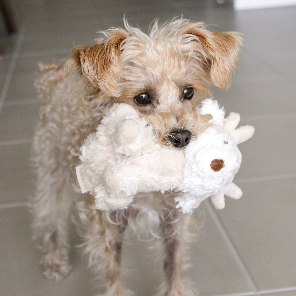 Fur Elise Vixi Plush Toy - Mini