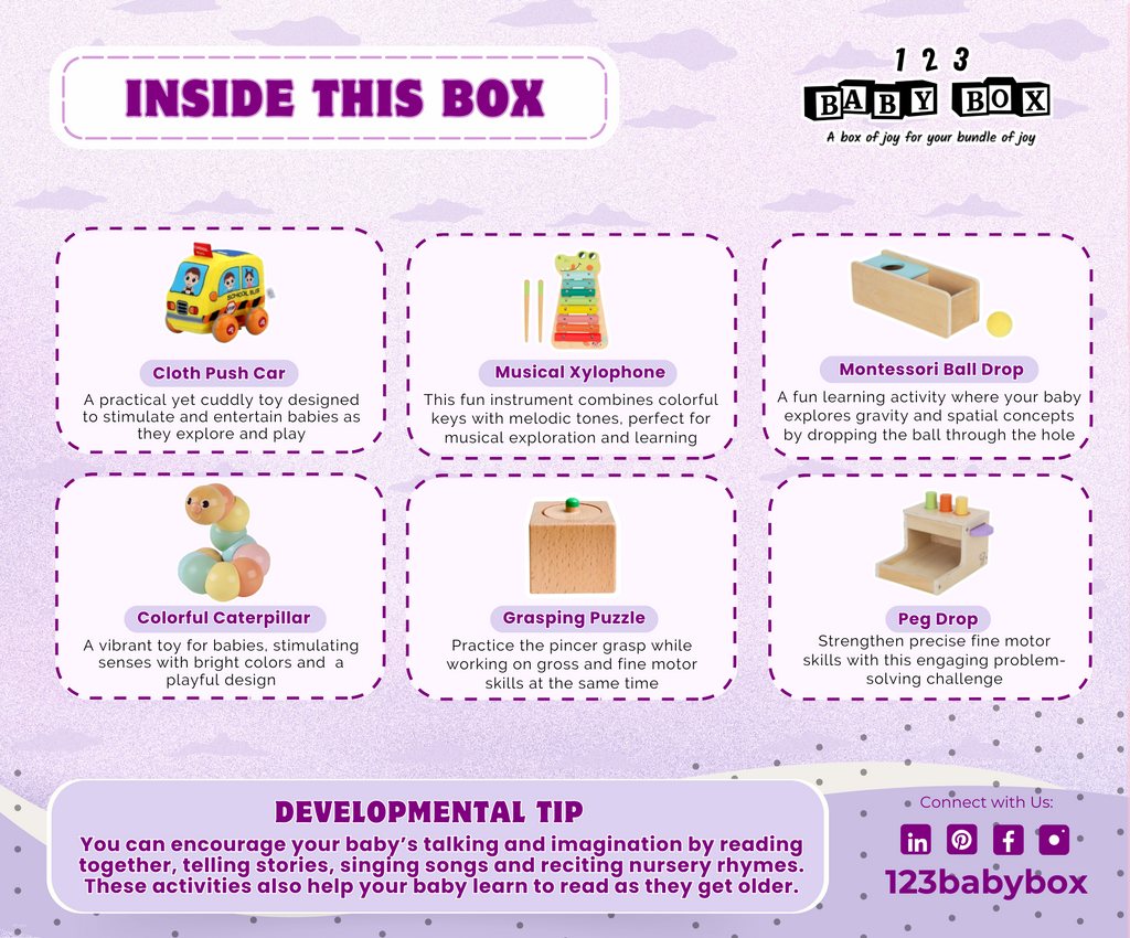Montessori Educational Box (11-12 months)