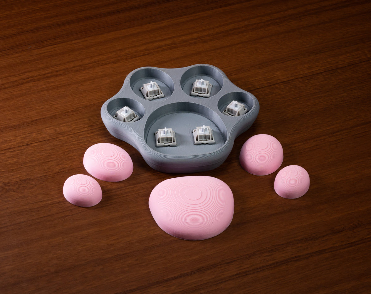 Cat Paw Switch Fidget