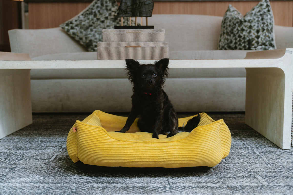 Chester & Lee | Fancy Corduroy Sleeper Dog Bed Sunny Yellow