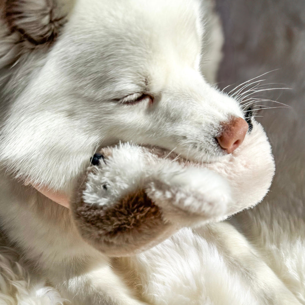 Fur Elise Pegy Plush Toy - Mini