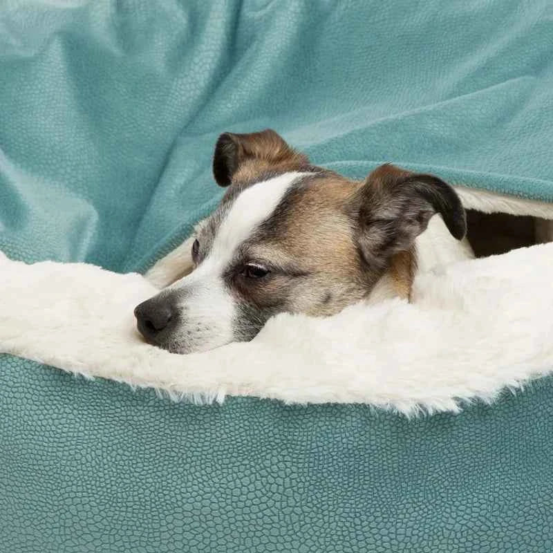 Benepaw Orthopedic Hooded Dog & Cat Cuddler Bed – Winter Warm Waterproof Dirt-Resistant Donut Nest with Blanket, Machine Washable (4 Colors, S–L)