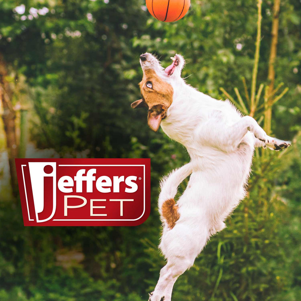 Jeffers Animal Fuzzies Plush Squeaker Dog Toys
