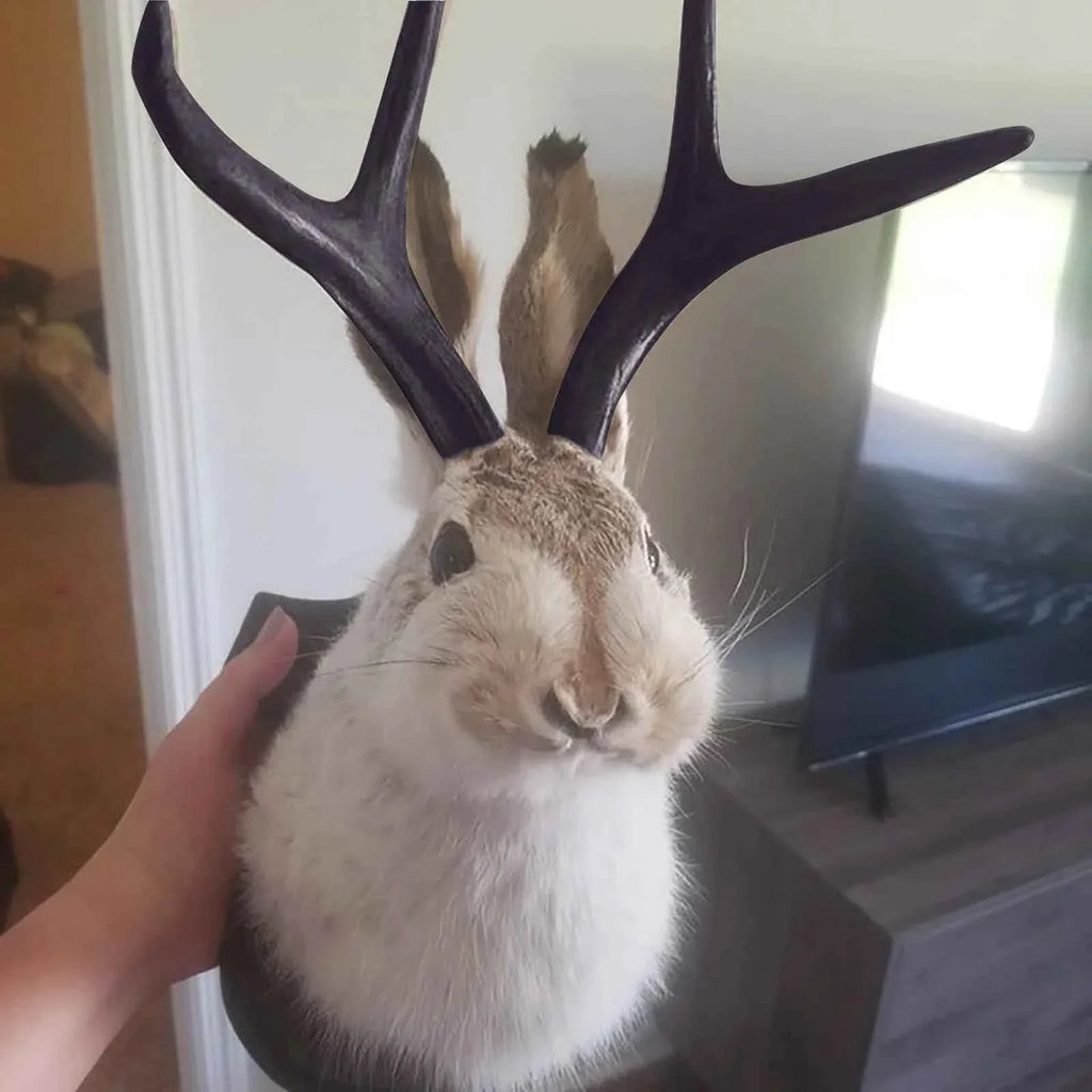 Faux Taxidermy Bunny Head Wall Mount – Resin Rabbit Jackalope Wall Decor