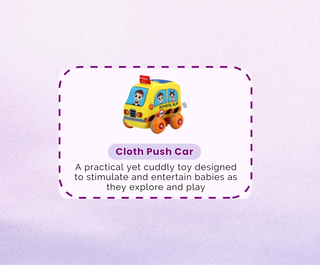 Montessori Educational Box (11-12 months)