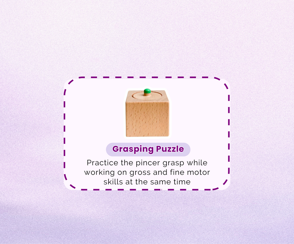 Montessori Educational Box (11-12 months)