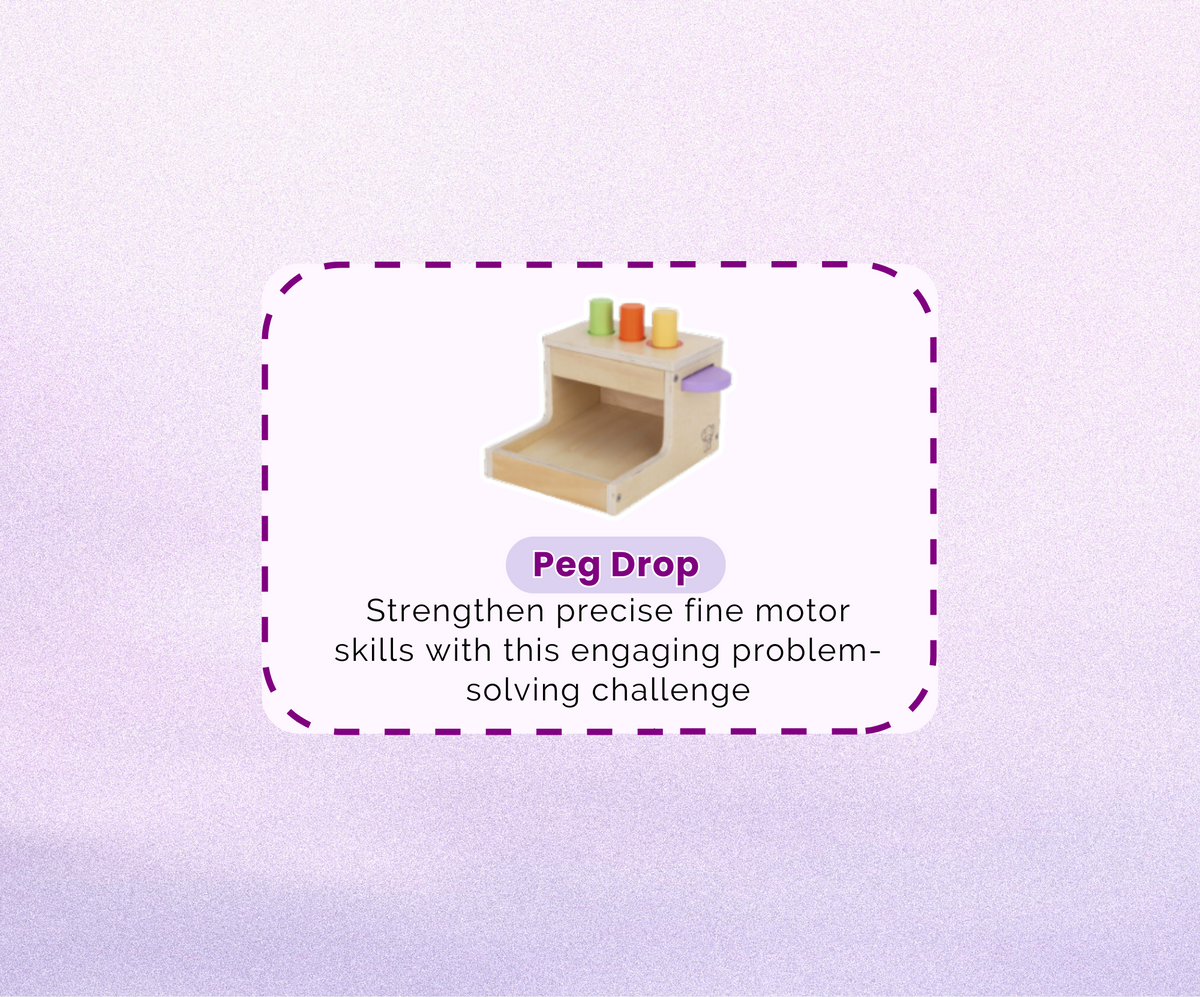 Montessori Educational Box (11-12 months)
