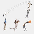 Funny Feather Bird with Bell Cat Stick Toy for Kitten