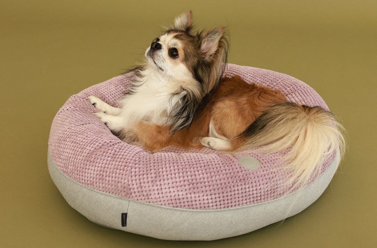 Chester & Lee | Light Pink Donut Dog Bed