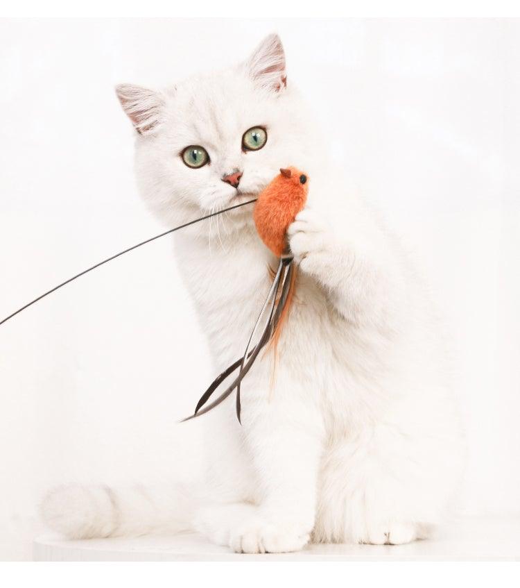 Funny Feather Bird with Bell Cat Stick Toy for Kitten